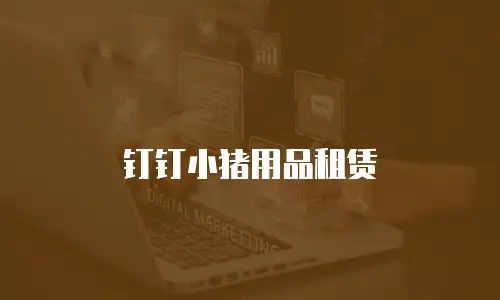 钉钉小猪用品租赁