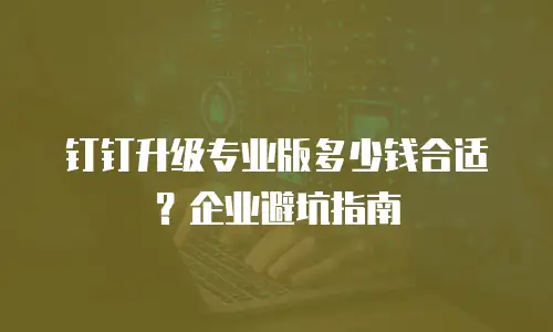 钉钉升级专业版多少钱合适？企业避坑指南