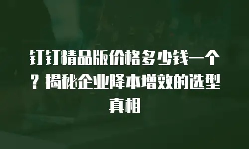 钉钉精品版价格多少钱一个？揭秘企业降本增效的选型真相