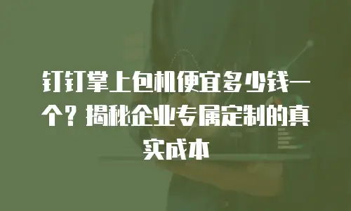 钉钉掌上包机便宜多少钱一个？揭秘企业专属定制的真实成本