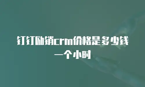 钉钉励销crm价格是多少钱一个小时