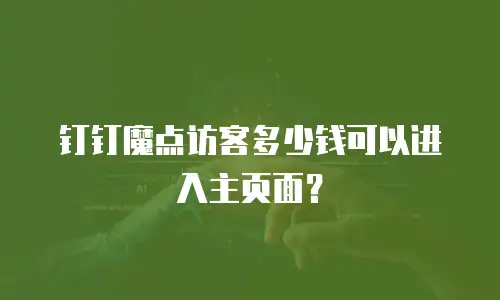 钉钉魔点访客多少钱可以进入主页面？