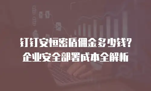 钉钉安恒密盾佣金多少钱？企业安全部署成本全解析