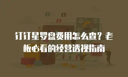 钉钉星罗盘费用怎么查？老板必看的经营透视指南