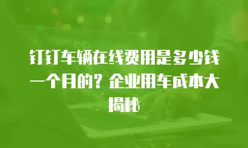 钉钉车辆在线费用是多少钱一个月的？企业用车成本大揭秘