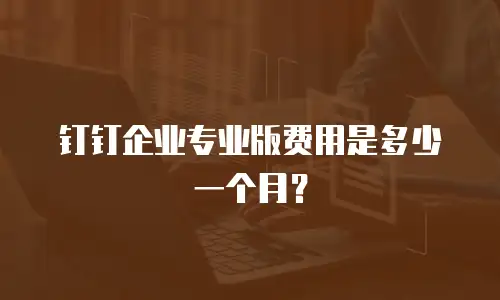 钉钉企业专业版费用是多少一个月？