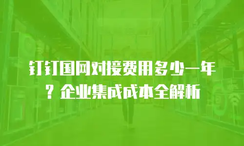 钉钉国网对接费用多少一年？企业集成成本全解析