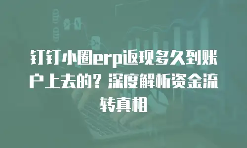 钉钉小圈erp返现多久到账户上去的？深度解析资金流转真相