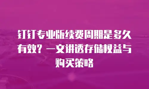 钉钉专业版续费周期是多久有效？一文讲透存储权益与购买策略