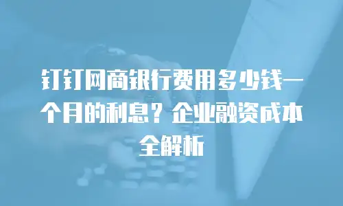 钉钉网商银行费用多少钱一个月的利息？企业融资成本全解析
