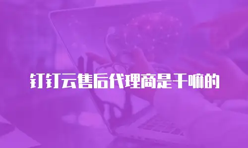 钉钉云售后代理商是干嘛的
