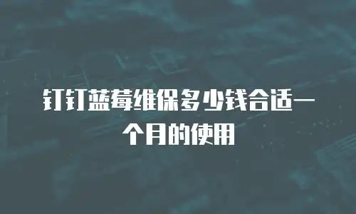 钉钉蓝莓维保多少钱合适一个月的使用