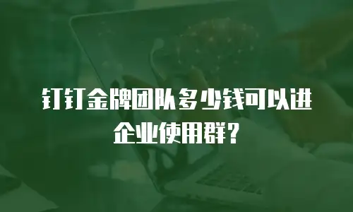 钉钉金牌团队多少钱可以进企业使用群？