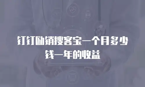 钉钉励销搜客宝一个月多少钱一年的收益