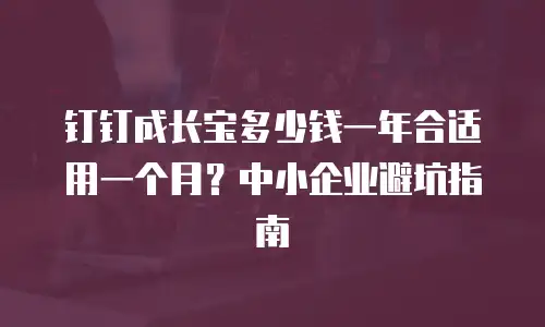 钉钉成长宝多少钱一年合适用一个月？中小企业避坑指南