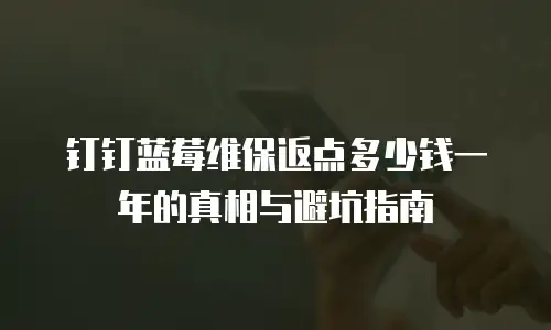 钉钉蓝莓维保返点多少钱一年的真相与避坑指南