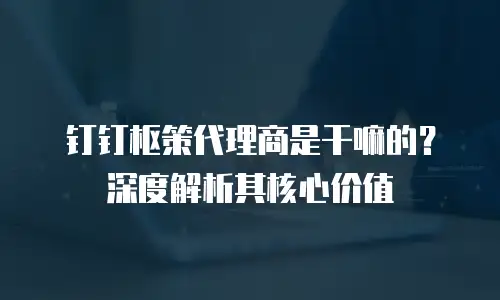 钉钉枢策代理商是干嘛的？深度解析其核心价值