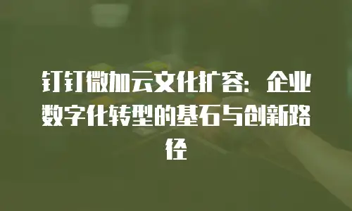 钉钉微加云文化扩容：企业数字化转型的基石与创新路径