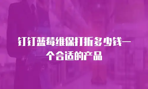 钉钉蓝莓维保打折多少钱一个合适的产品