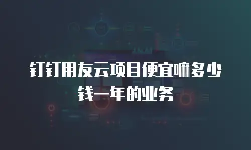 钉钉用友云项目便宜嘛多少钱一年的业务