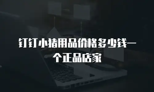 钉钉小猪用品价格多少钱一个正品店家