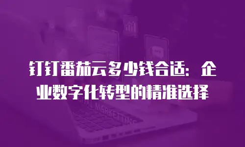 钉钉番茄云多少钱合适：企业数字化转型的精准选择