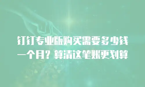 钉钉专业版购买需要多少钱一个月？算清这笔账更划算