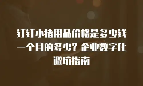 钉钉小猪用品价格是多少钱一个月的多少？企业数字化避坑指南