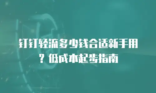 钉钉轻流多少钱合适新手用？低成本起步指南