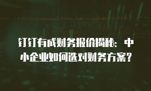 钉钉有成财务报价揭秘：中小企业如何选对财务方案？
