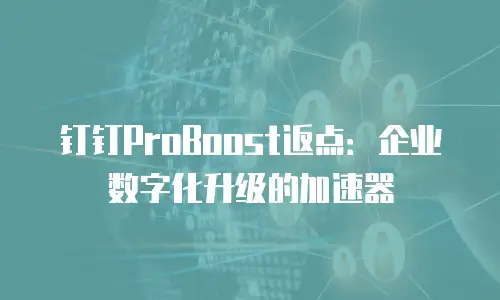 钉钉ProBoost返点：企业数字化升级的加速器