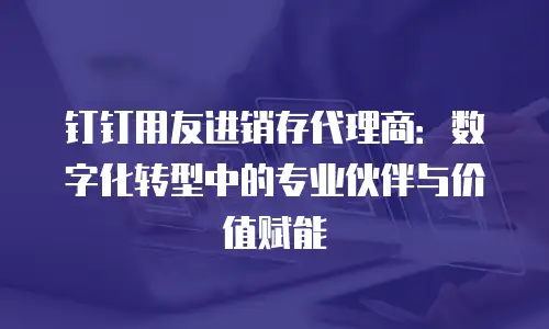 钉钉用友进销存代理商：数字化转型中的专业伙伴与价值赋能