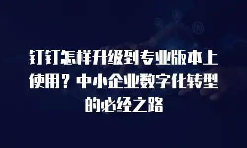 钉钉怎样升级到专业版本上使用？中小企业数字化转型的必经之路