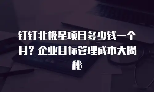 钉钉北极星项目多少钱一个月？企业目标管理成本大揭秘