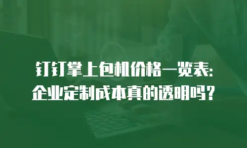 钉钉掌上包机价格一览表：企业定制成本真的透明吗？