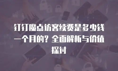 钉钉魔点访客续费是多少钱一个月的？全面解析与价值探讨