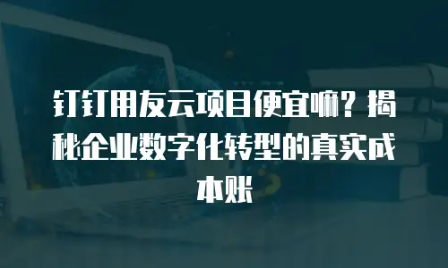 钉钉用友云项目便宜嘛？揭秘企业数字化转型的真实成本账