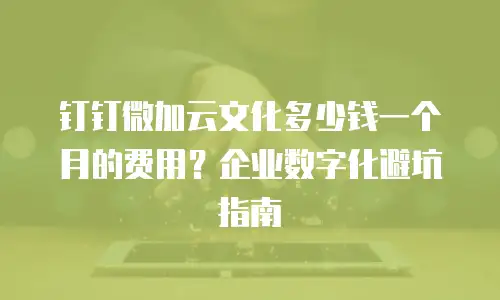 钉钉微加云文化多少钱一个月的费用？企业数字化避坑指南