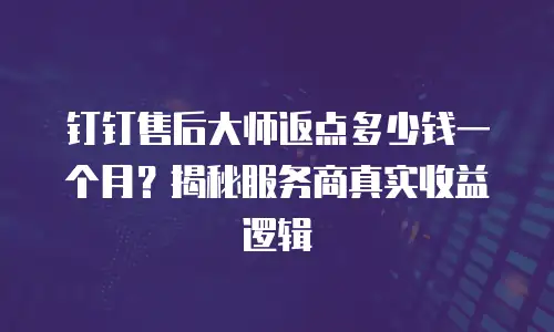 钉钉售后大师返点多少钱一个月？揭秘服务商真实收益逻辑