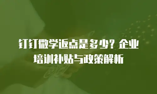 钉钉微学返点是多少？企业培训补贴与政策解析