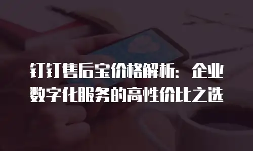 钉钉售后宝价格解析：企业数字化服务的高性价比之选