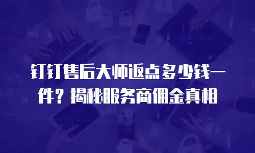 钉钉售后大师返点多少钱一件？揭秘服务商佣金真相