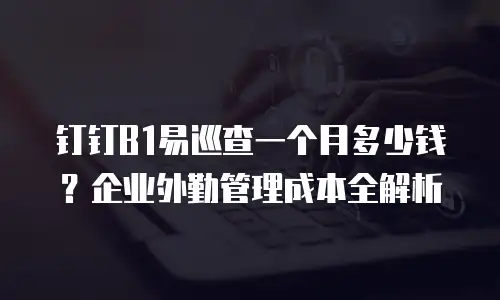 钉钉B1易巡查一个月多少钱？企业外勤管理成本全解析