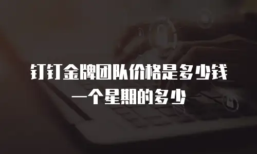 钉钉金牌团队价格是多少钱一个星期的多少