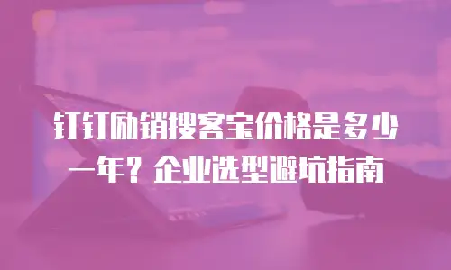钉钉励销搜客宝价格是多少一年？企业选型避坑指南