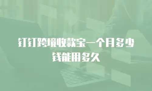 钉钉跨境收款宝一个月多少钱能用多久