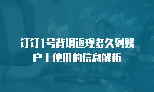 钉钉1号背调返现多久到账户上使用的信息解析