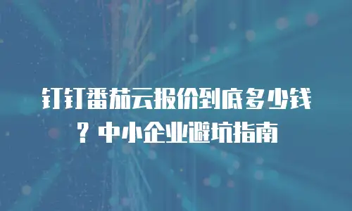 钉钉番茄云报价到底多少钱？中小企业避坑指南