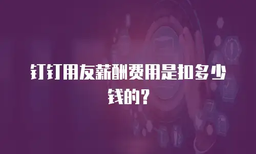 钉钉用友薪酬费用是扣多少钱的？