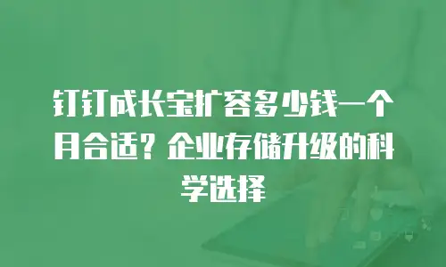 钉钉成长宝扩容多少钱一个月合适？企业存储升级的科学选择